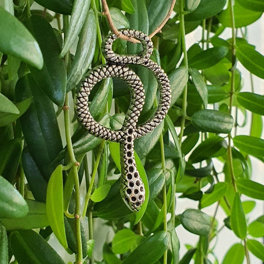 Curio Serpent (pièce)